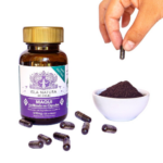 Maqui 500mg - 120 capsulas / Isla Natura