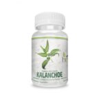 Kalanchoe 500mg - 90 capsulas / Health Natural