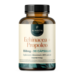 Echinacea + Propoleo 550mg - 90 caps / Karun Life